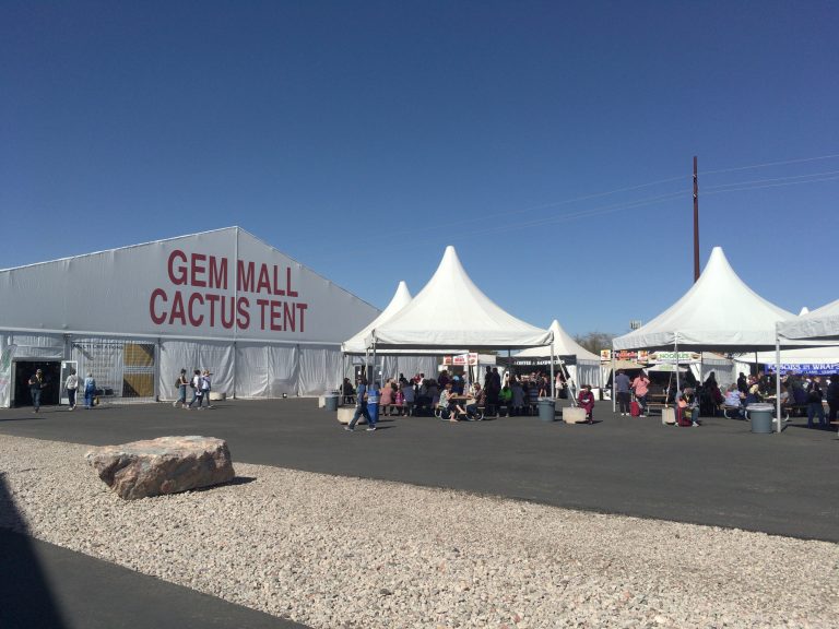 G&LW Gem Mall and Holidome Tucson Gem Show 101