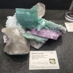 Tucson Gem & Mineral Show (Main Show)